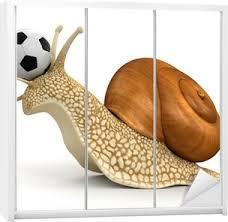 football betting tips - 